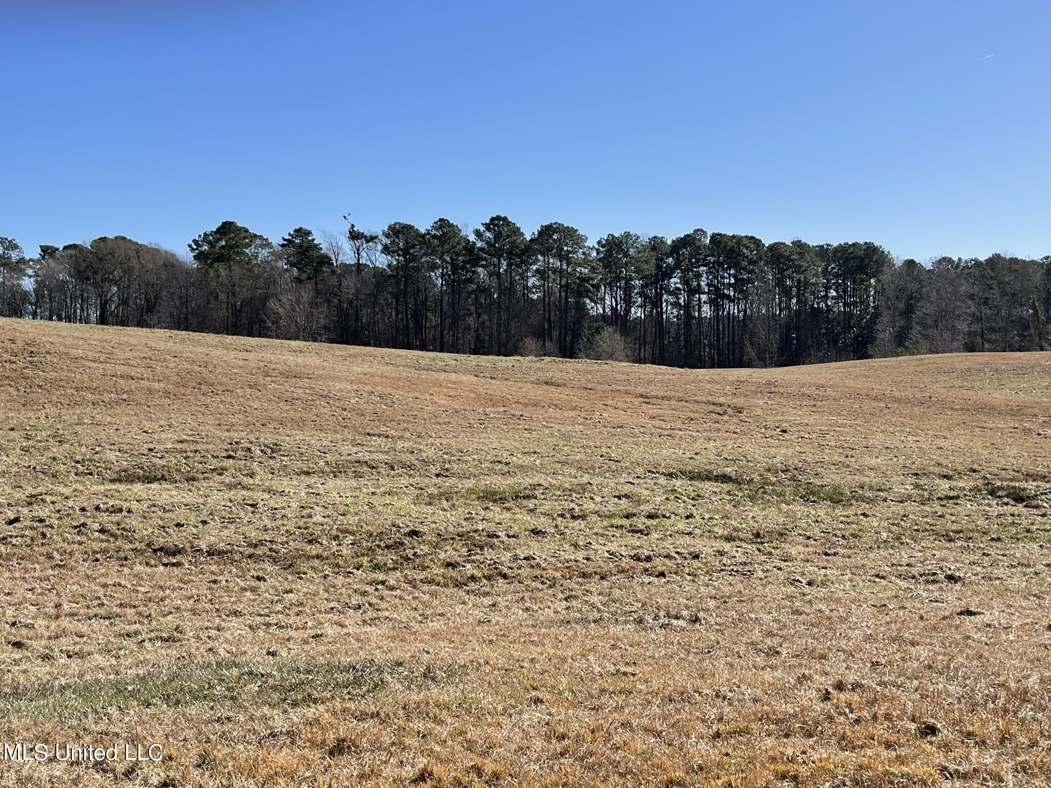 1547 Old Pearl Road Florence, MS 39073 - Photo 7 of 62 IMG_6731