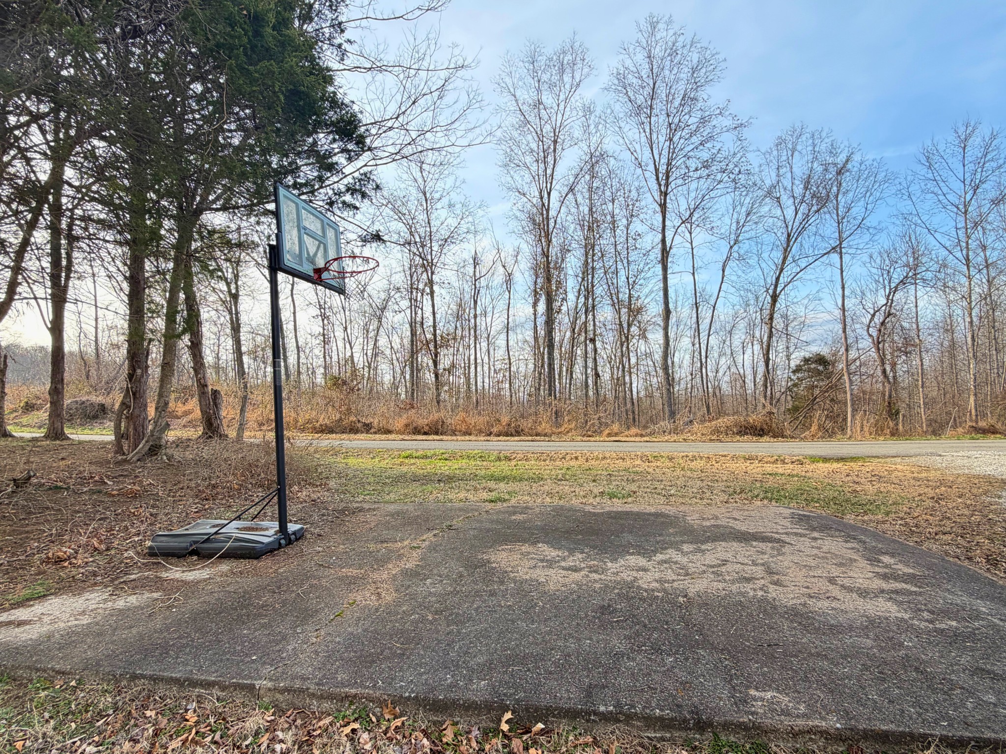 160 Allen Road Drakesboro, KY 42337 - Photo 14 of 15 a view of a park with large trees