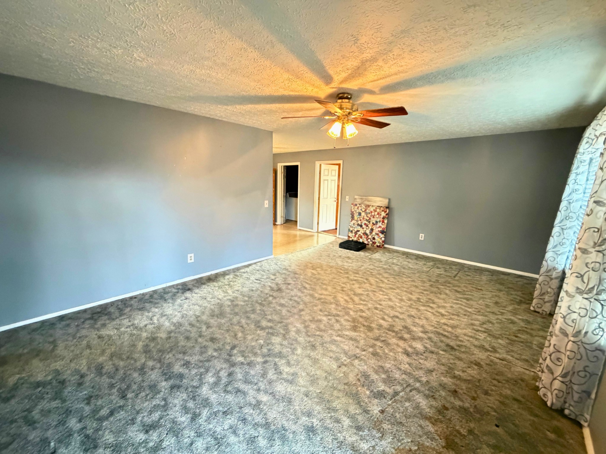 160 Allen Road Drakesboro, KY 42337 - Photo 3 of 15 en empty room with windows and ceiling fan