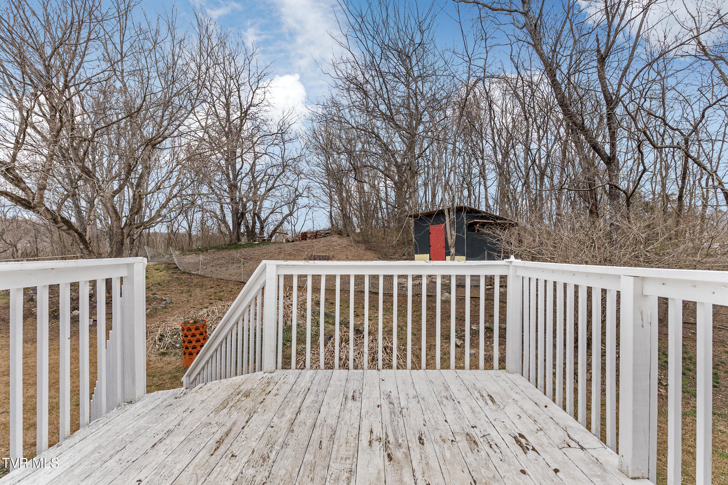 330 Rheatown Road Chuckey, TN 37641 - Photo 56 of 74 45_arw01930
