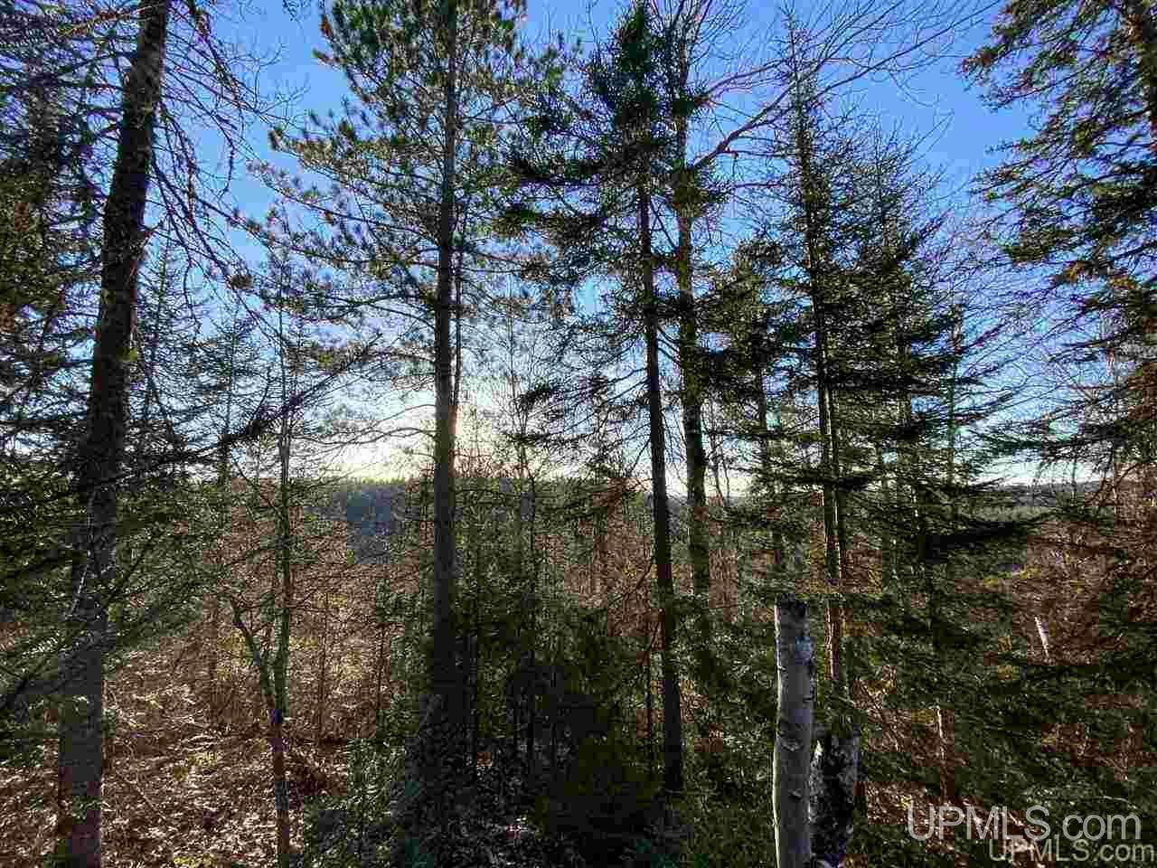 19 Willow Creek Road Ishpeming, MI 49849 - Photo 20 of 23 Gallery Image 20