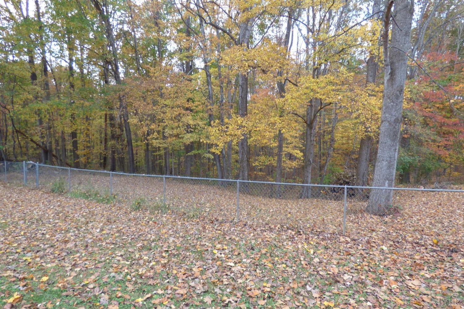 1381 Boxwood Farm Road Amherst, VA 24521 - Photo 20 of 20 a backyard of a house with lots of green space