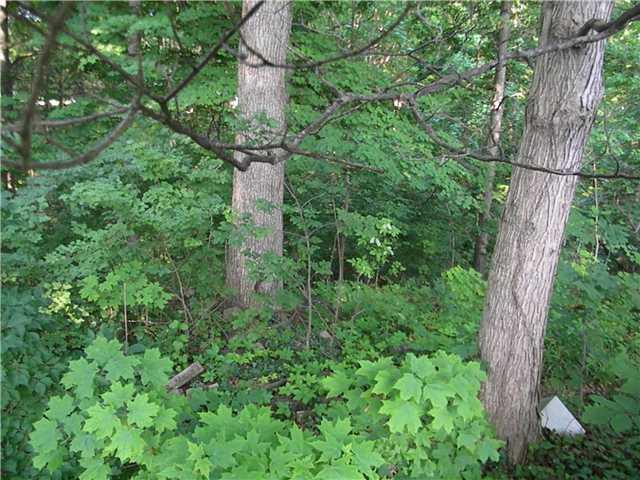 3633 Pinecrest Road Indianapolis, IN 46234 - Photo 21 of 23 Gallery Image 21