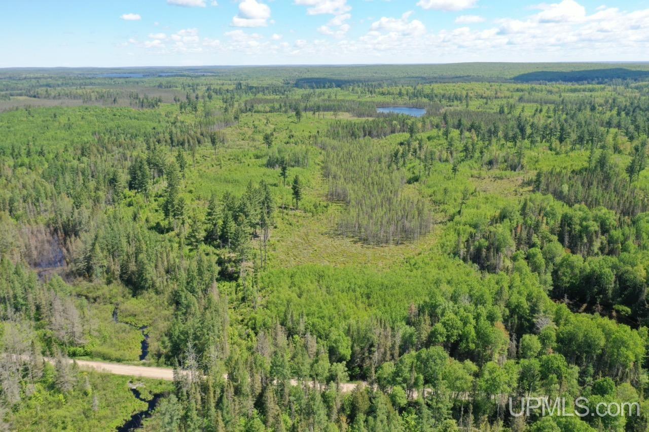527 Usfs Road Iron River, MI 49935 - Photo 12 of 37