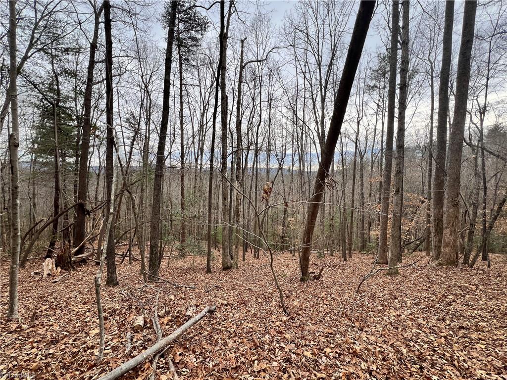 Tbd High Rock Road Boomer, NC 28606 - Photo 13 of 13 Gallery Image 13