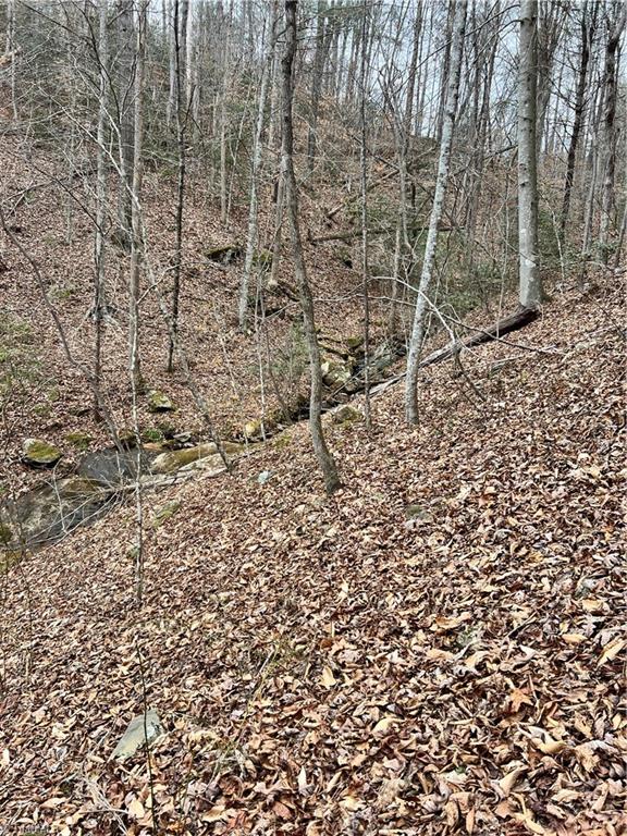 Tbd High Rock Road Boomer, NC 28606 - Photo 5 of 13 Gallery Image 5