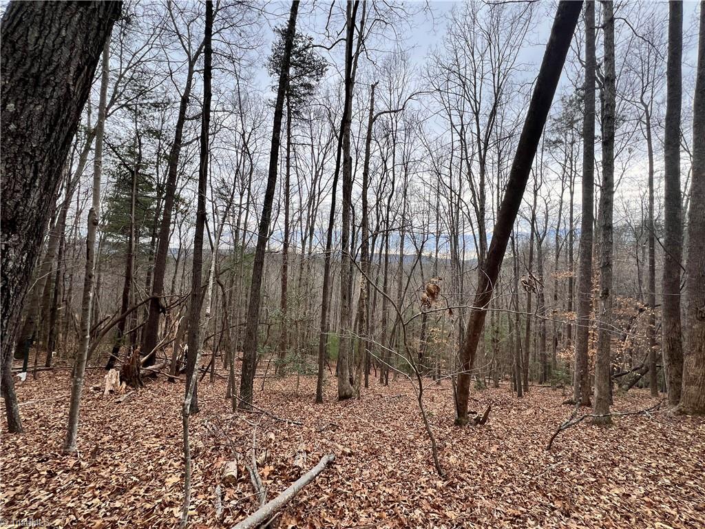 Tbd High Rock Road Boomer, NC 28606 - Photo 8 of 13 Gallery Image 8