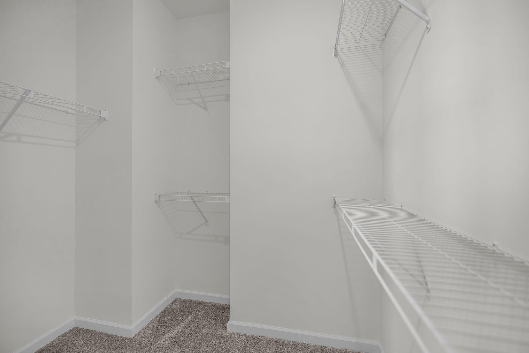 7614 Mistflower Circle Chattanooga, TN 37421 - Photo 33 of 36 Marigold Model