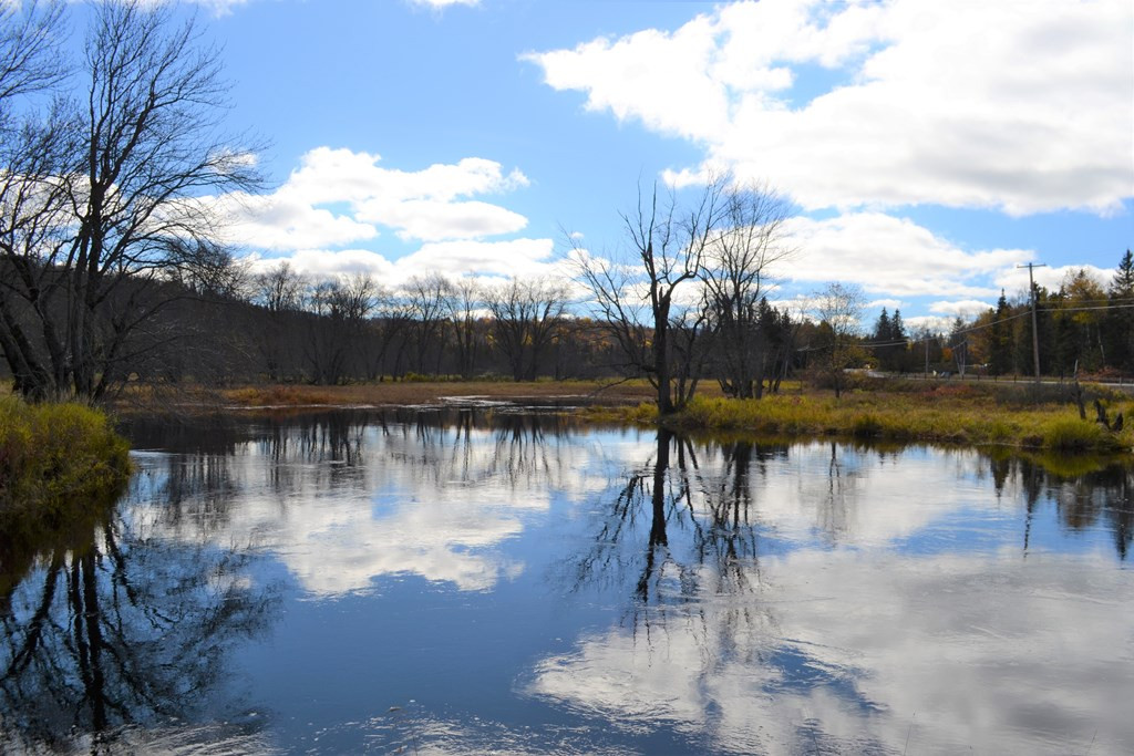 Lot 2 Norman Ridge Road Vermontville, NY 12989 - Photo 13 of 18 Gallery Image 13