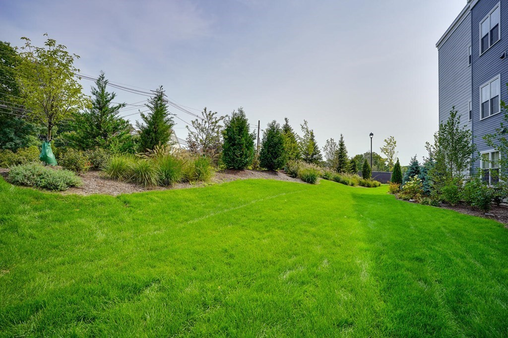 1 Revolution Way, Unit 202 Canton, MA 02021 - Photo 33 of 34