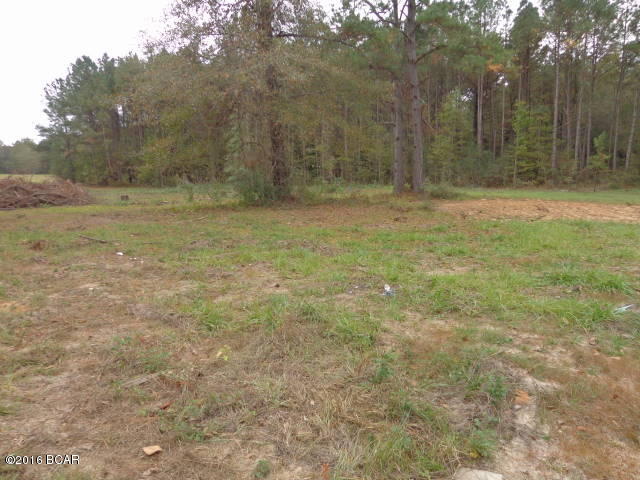 0 Charm Road Alford, FL 32420 - Photo 30 of 32