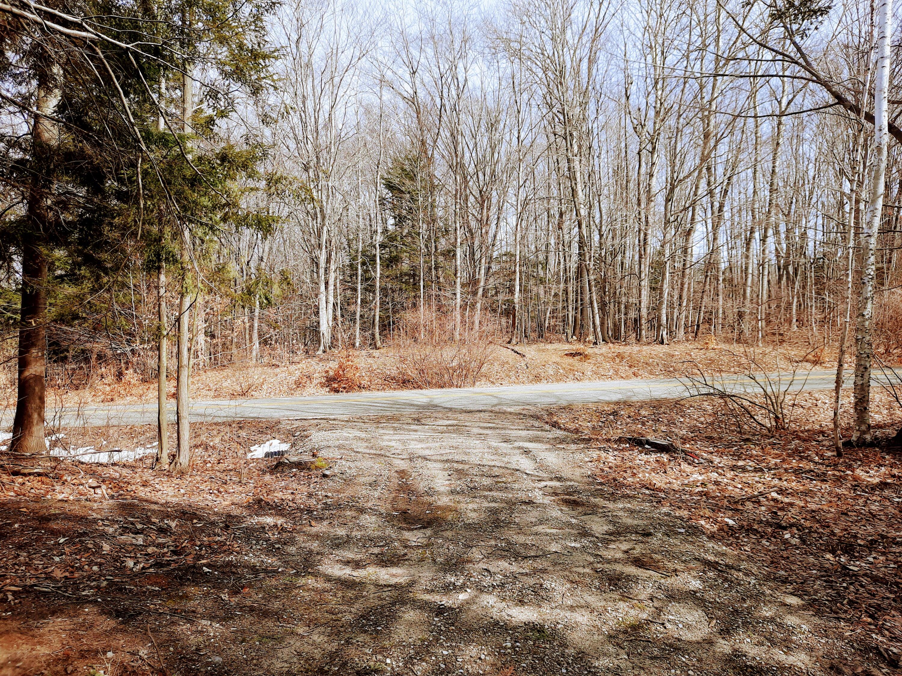 Lot 47 Smith Road Onekama, MI 49675 - Photo 4 of 24 New Driveway