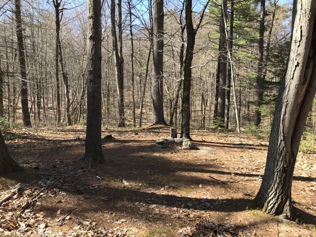 128 Starbird Corner Road Bowdoin, ME 04287 - Photo 5 of 30 UNADJUSTEDNONRAW_thumb_424c