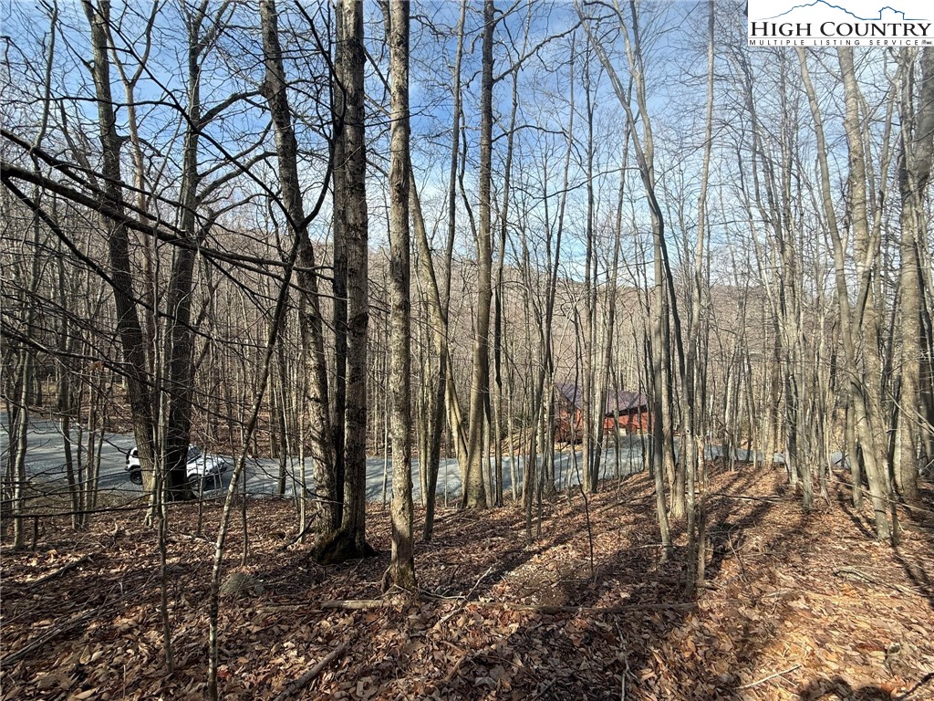 134 Locust Ridge Road Beech Mountain, NC 28604 - Photo 8 of 10 a view of a backyard of the house