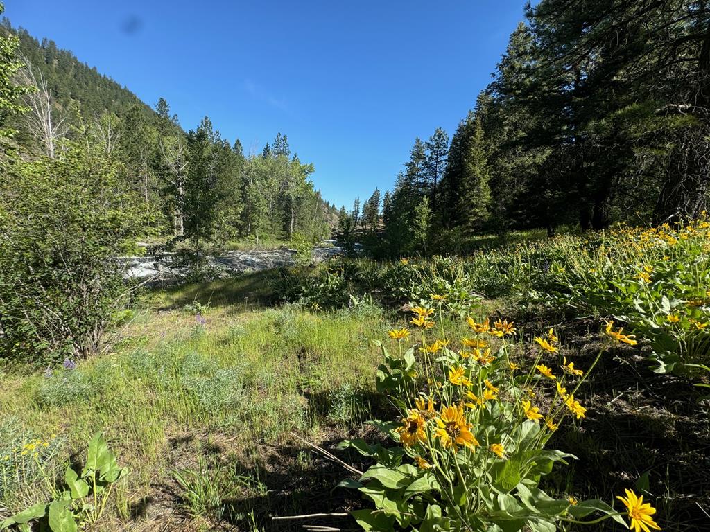 Tbd Elk Lake Road New Meadows, ID 83654 - Photo 11 of 24