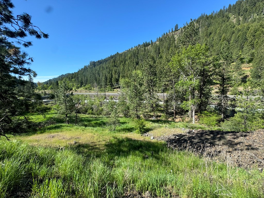 Tbd Elk Lake Road New Meadows, ID 83654 - Photo 13 of 24