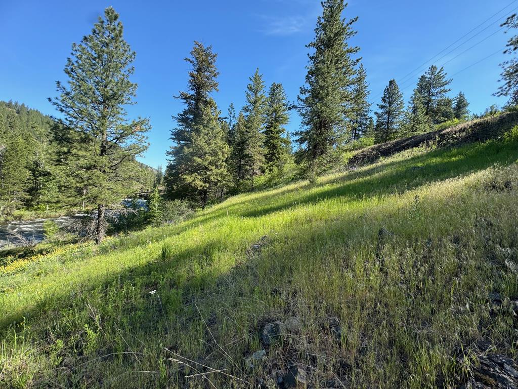 Tbd Elk Lake Road New Meadows, ID 83654 - Photo 14 of 24