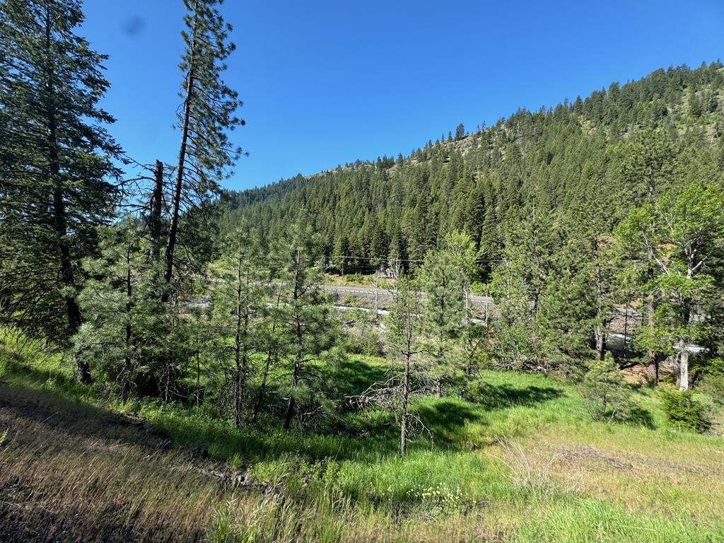 Tbd Elk Lake Road New Meadows, ID 83654 - Photo 15 of 24