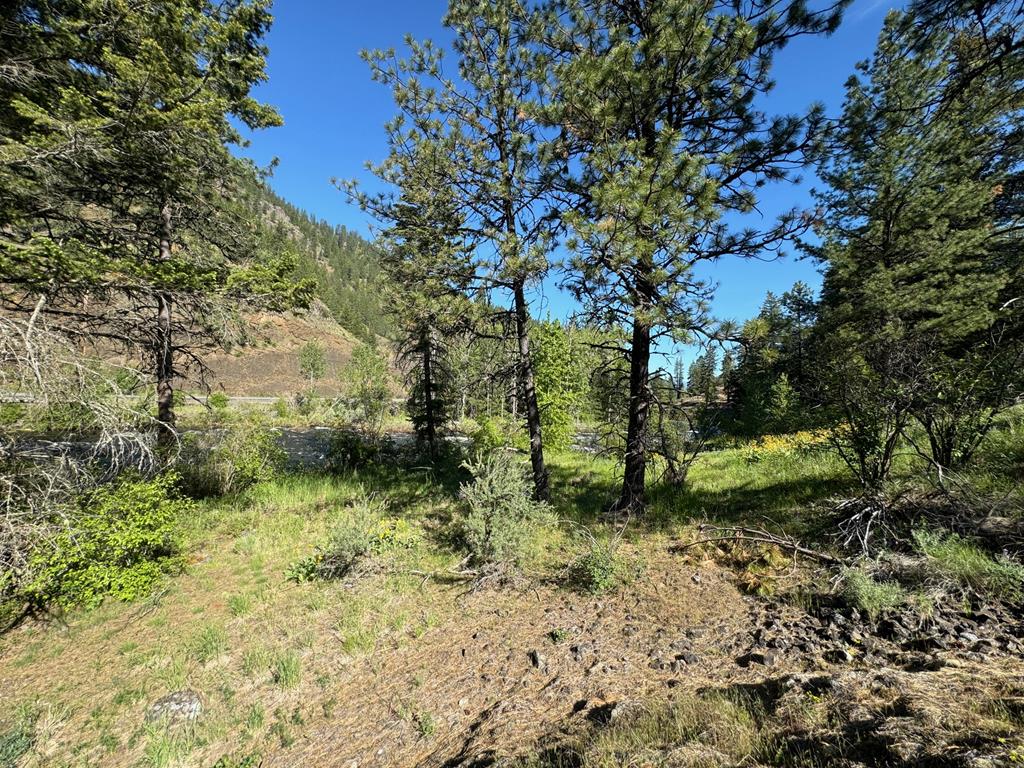 Tbd Elk Lake Road New Meadows, ID 83654 - Photo 16 of 24