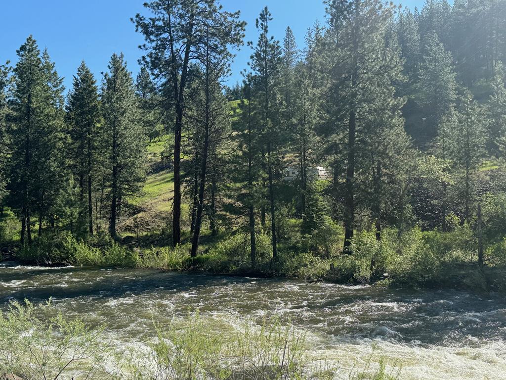 Tbd Elk Lake Road New Meadows, ID 83654 - Photo 19 of 24