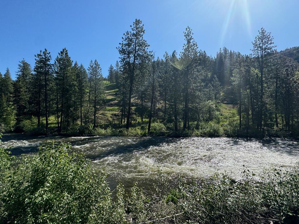 Tbd Elk Lake Road New Meadows, ID 83654 - Photo 20 of 24