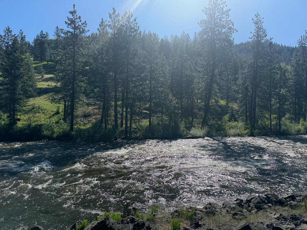 Tbd Elk Lake Road New Meadows, ID 83654 - Photo 21 of 24