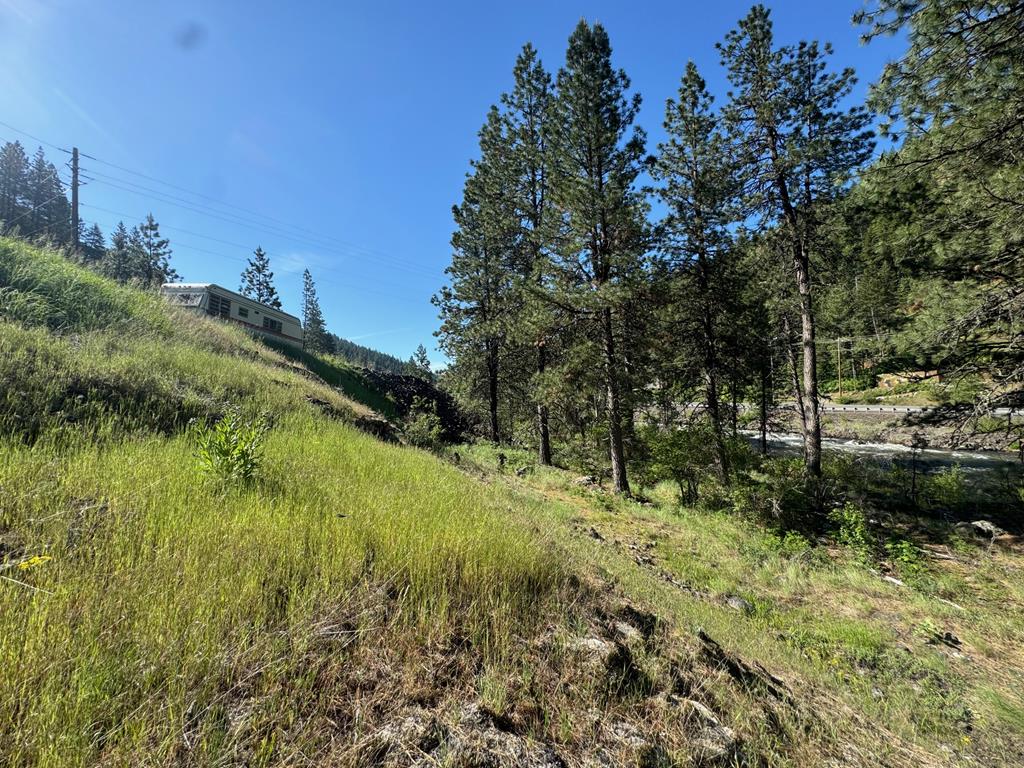 Tbd Elk Lake Road New Meadows, ID 83654 - Photo 23 of 24