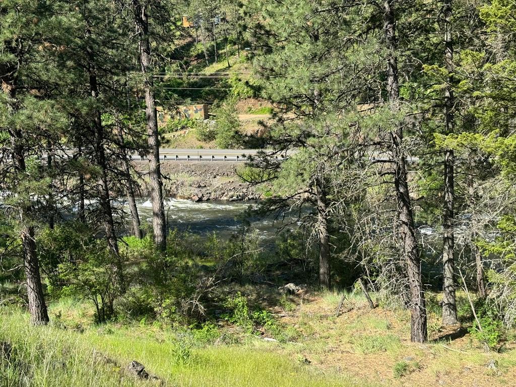 Tbd Elk Lake Road New Meadows, ID 83654 - Photo 24 of 24