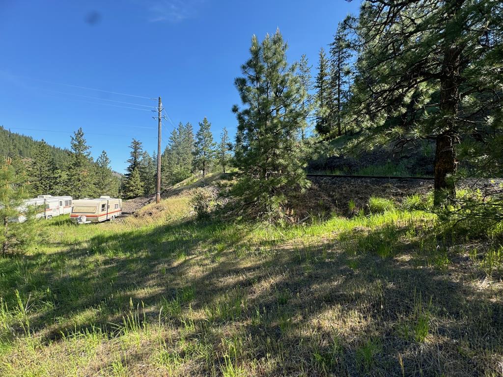 Tbd Elk Lake Road New Meadows, ID 83654 - Photo 4 of 24