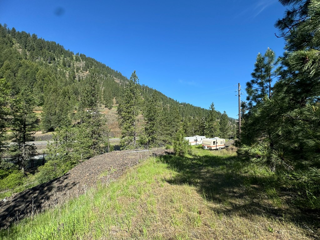 Tbd Elk Lake Road New Meadows, ID 83654 - Photo 5 of 24