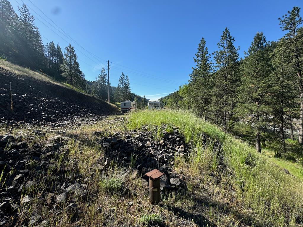 Tbd Elk Lake Road New Meadows, ID 83654 - Photo 6 of 24