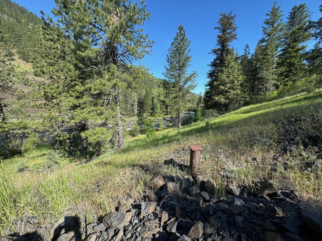 Tbd Elk Lake Road New Meadows, ID 83654 - Photo 9 of 24