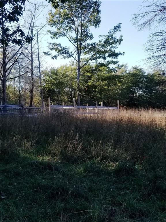 653 Back Ridge Road Penobscot, ME 04476 - Photo 4 of 17 Photo