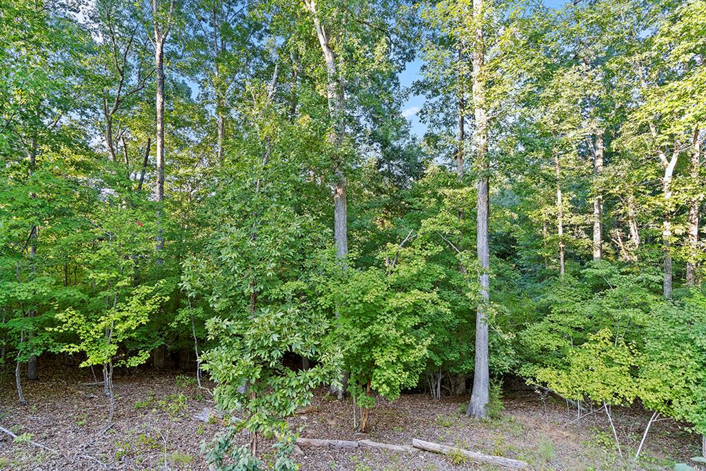 1330 State Rd S-30-83 Laurens, SC 29360 - Photo 31 of 36