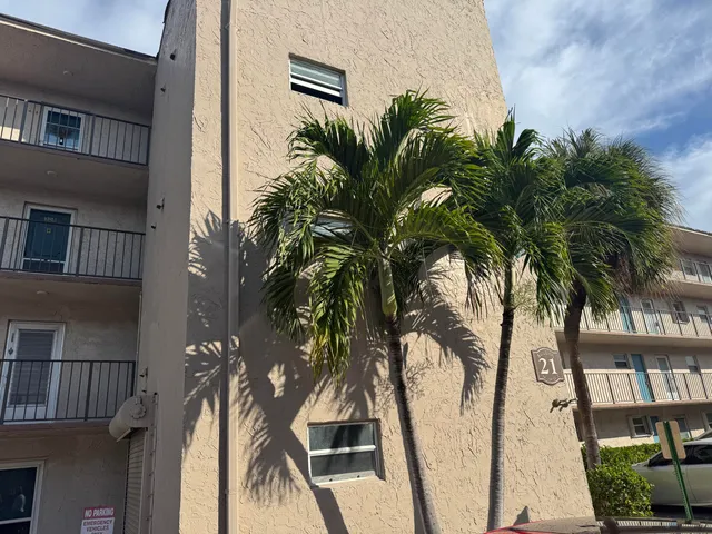 a view of balcony with a palm tree
