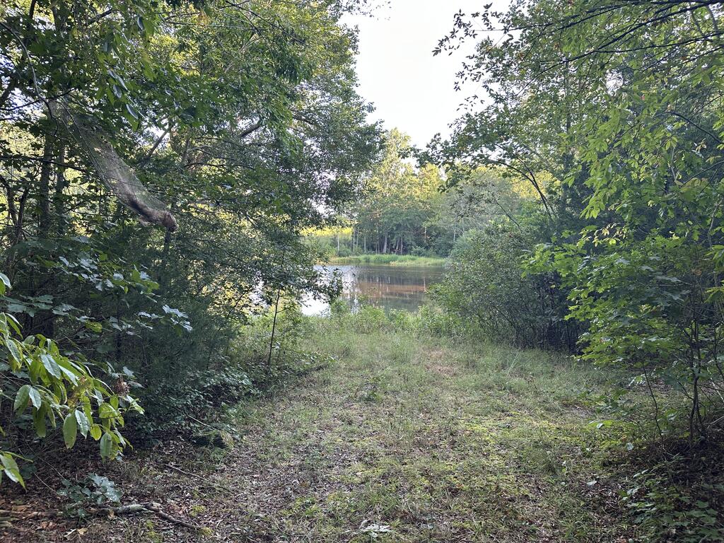 105-acs Ashton Road Victoria, VA 23974 - Photo 30 of 46 Gallery Image 30