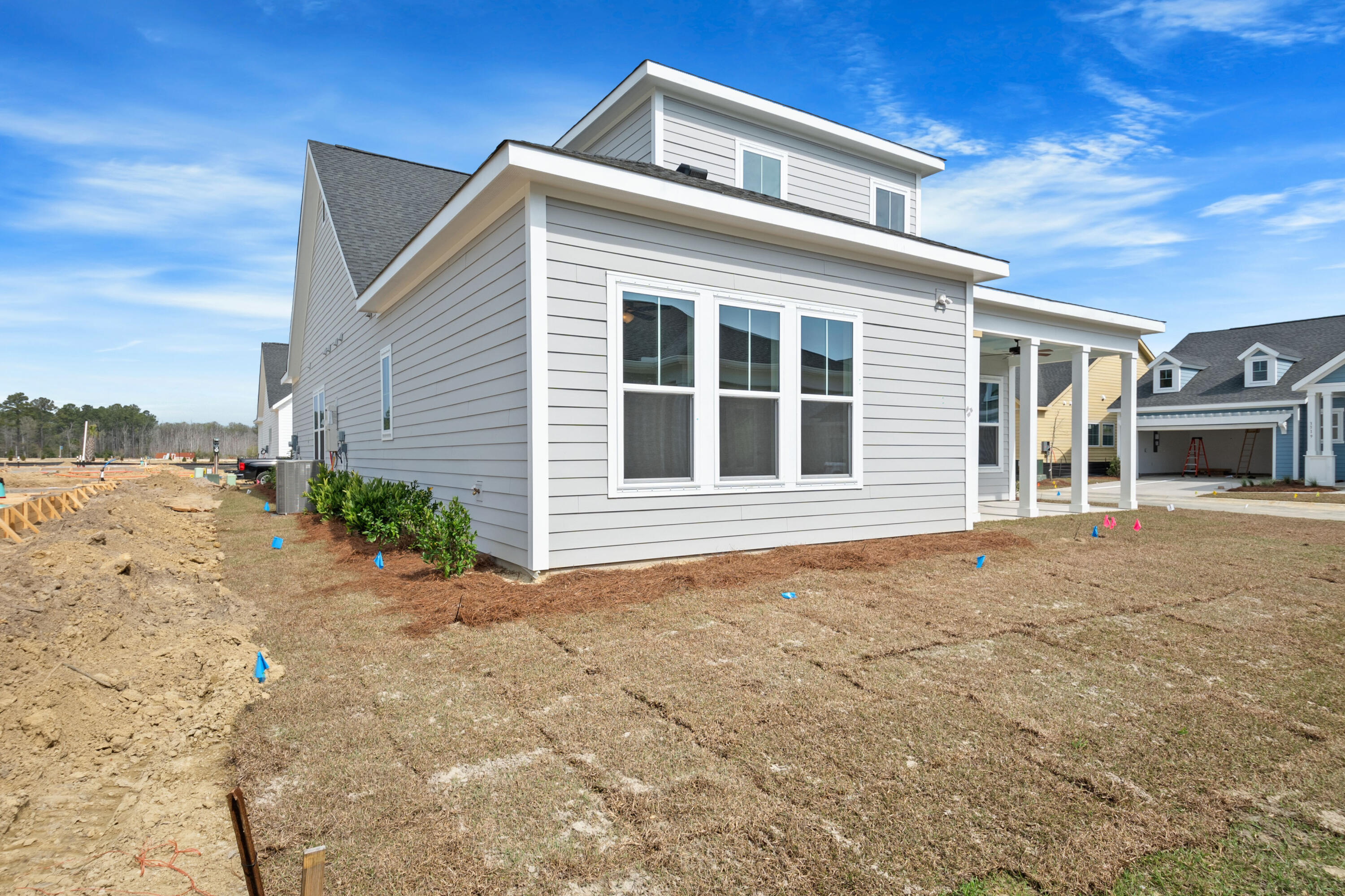 3526 Artful Loop Mount Pleasant, SC 29466 - Photo 30 of 43 _DSC5278