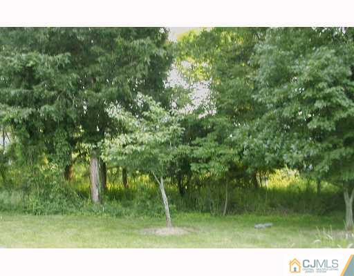 339 Smithwold Road Somerset, NJ 08873 - Photo 8 of 8