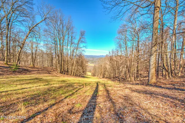$4,500,000 | 172 Pam Lane, Townsend, TN 37882