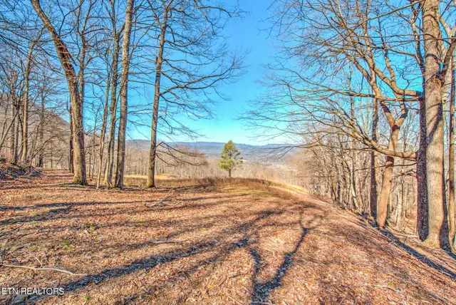 $4,500,000 | 172 Pam Lane, Townsend, TN 37882