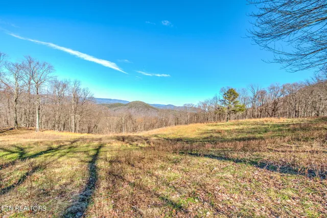$4,500,000 | 172 Pam Lane, Townsend, TN 37882