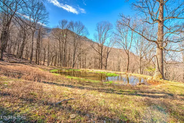 $4,500,000 | 172 Pam Lane, Townsend, TN 37882