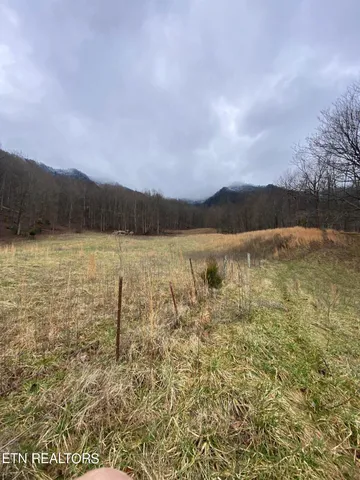 $4,500,000 | 172 Pam Lane, Townsend, TN 37882