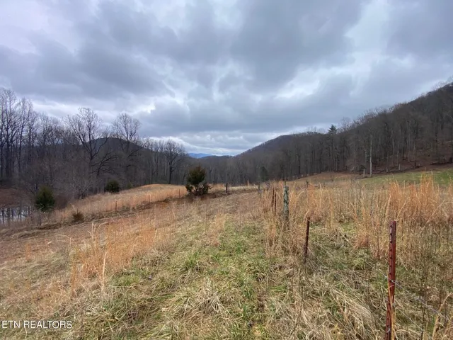 $4,500,000 | 172 Pam Lane, Townsend, TN 37882