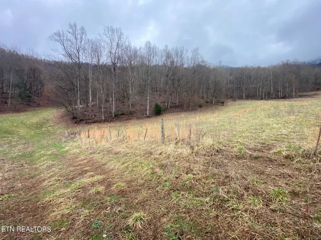 $4,500,000 | 172 Pam Lane, Townsend, TN 37882