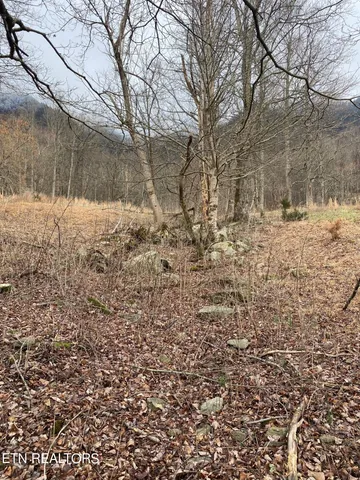 $4,500,000 | 172 Pam Lane, Townsend, TN 37882