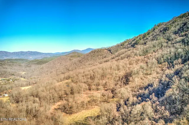 $4,500,000 | 172 Pam Lane, Townsend, TN 37882