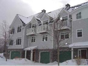 1 B Stratton Springs Road, Unit 1B Stratton, VT 05155 - Photo 2 of 7