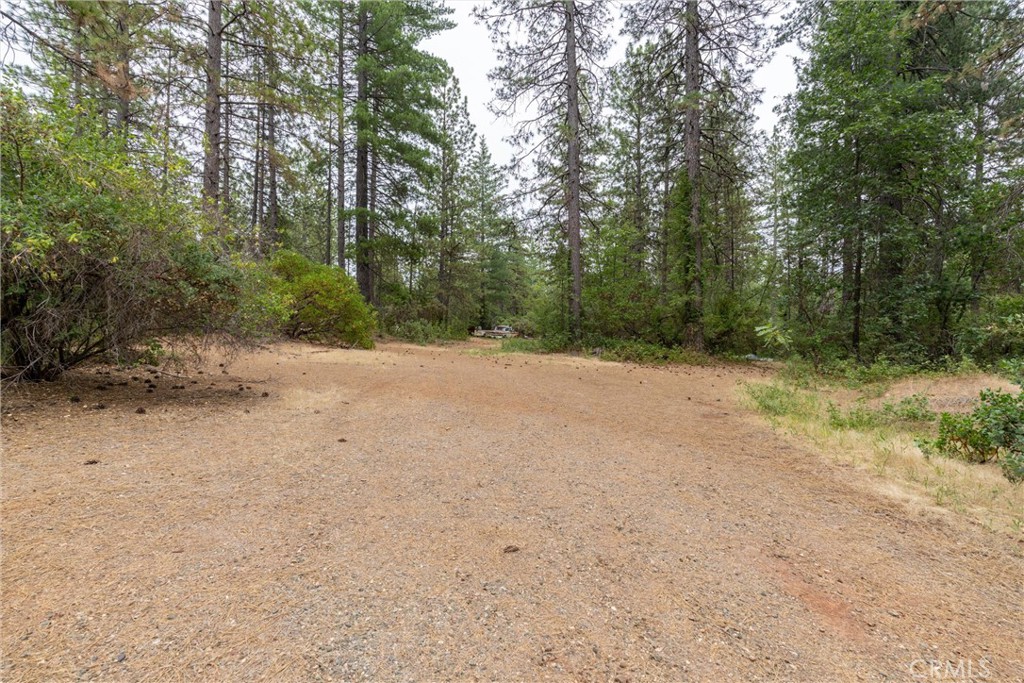15184 Siwini Road Forest Ranch, CA 95942 - Photo 28 of 75