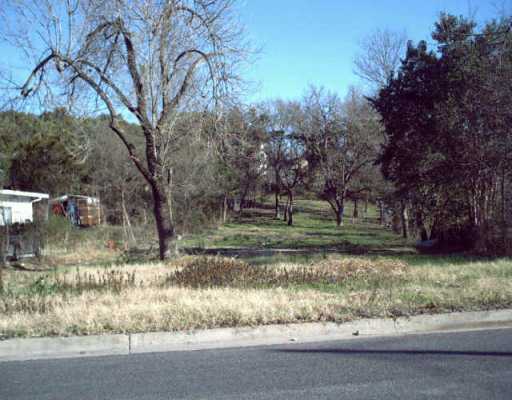 a view of backyard of green space